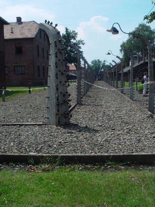Auschwitz fencline